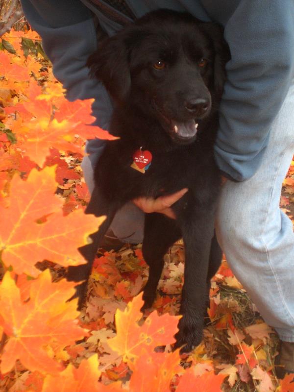 /Images/uploads/Humane Society of Utah/HSUCalendar/entries/1589thumb.jpg